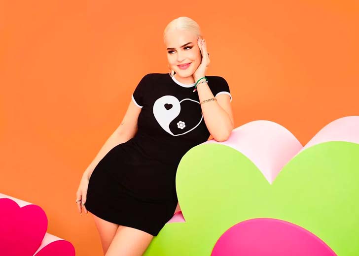 What Is Anne-Marie's Dating Status? Her Sexuality and Partner Discussed