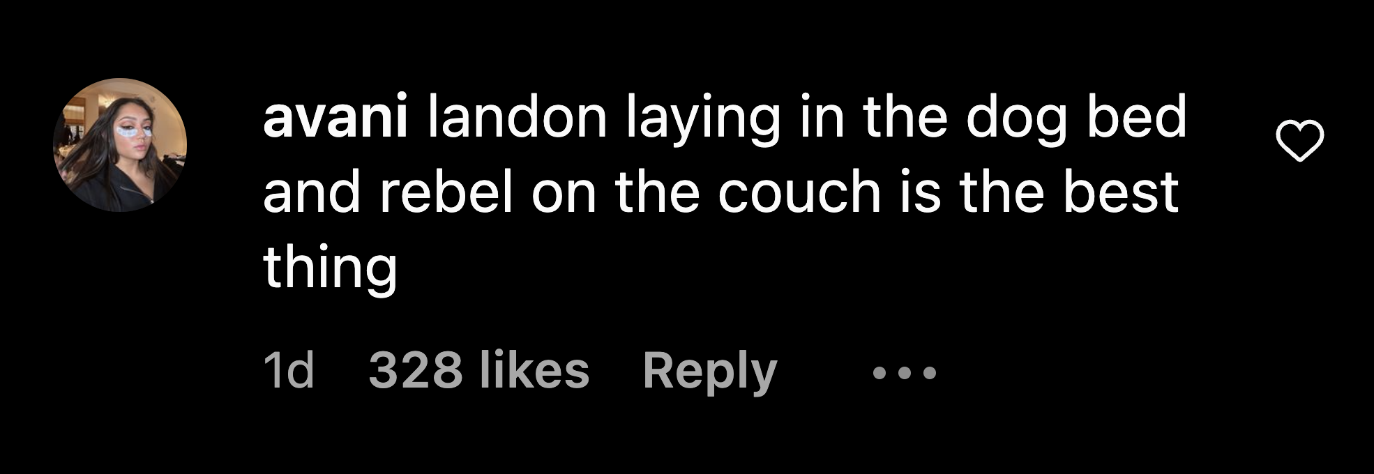 Avani Gregg debunked rumors of drama between her and Charli D’Amelio by commenting on the latter’s post.
