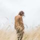Sustainable Fashion for Every Budget: Tips and Recommendations