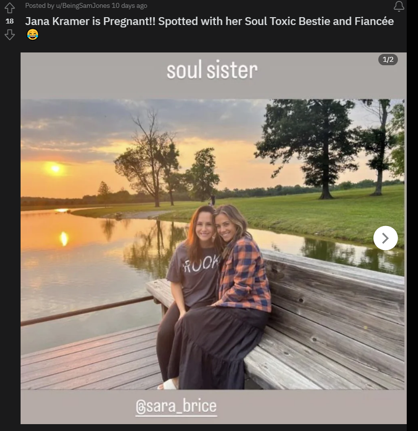 A Reddit user, @BeingSamJones claimed Jana Kramer is pregnant.