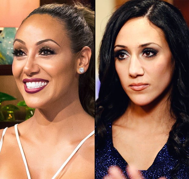 Melissa Gorga confessed that she got a nose job and plastic surgery.