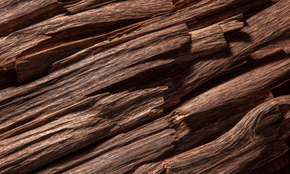 The Cultural Significance of Oud: Aromatic Traditions and Symbolism