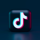 Popular Musicians Who Owe Their Career To TikTok