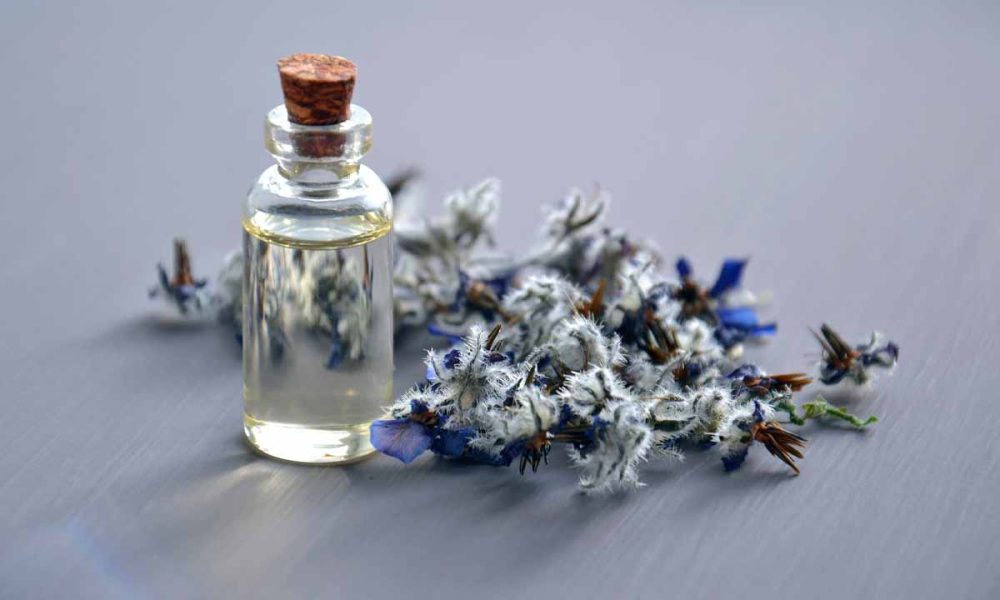 Everything You Should Know About Scent Note Categories