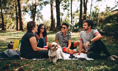 How To Get The Most From Your Free Time