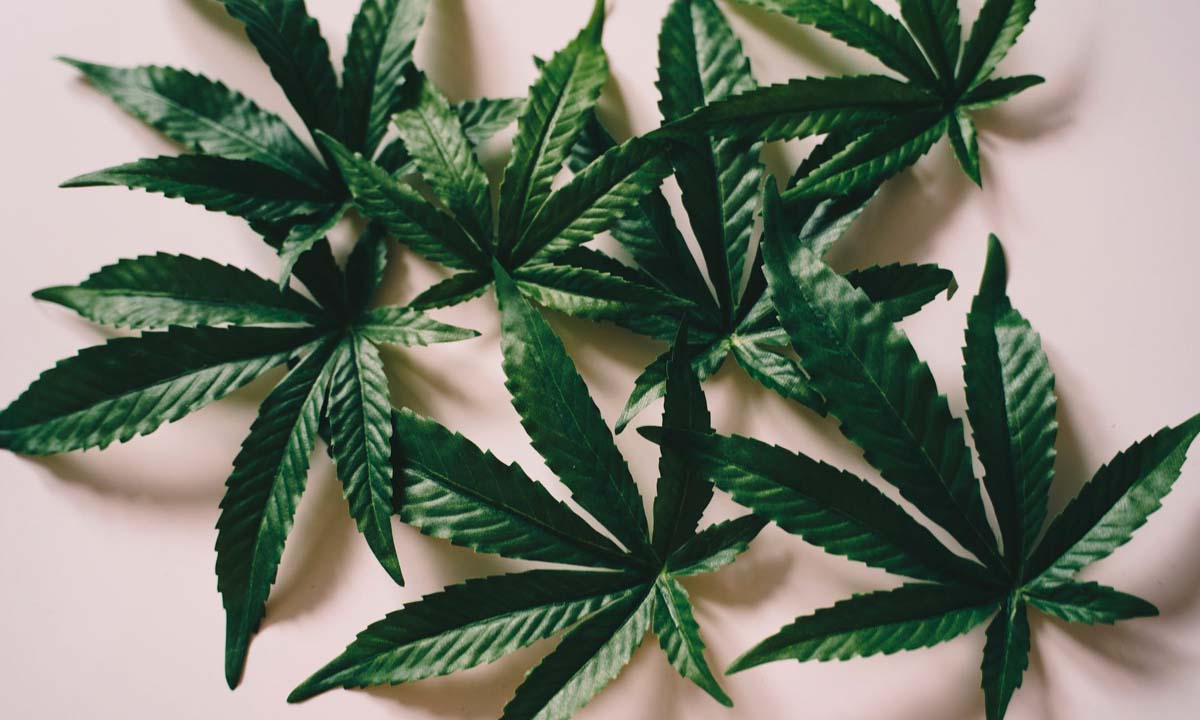 Exploring Innovative Cannabis Consumption Methods: From Vaping to Dabbing