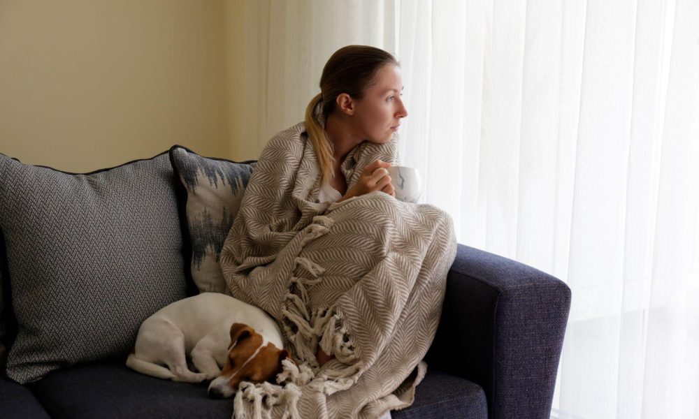 Animal Support Certificate: Everything You Need to Know