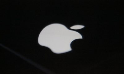 The Beginner’s Guide to Logo Design