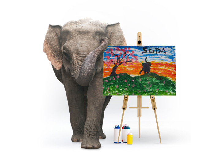 BitTrunks Co-Head Dwain Schenck on World’s First Elephant Art NFTs to Support the Herd