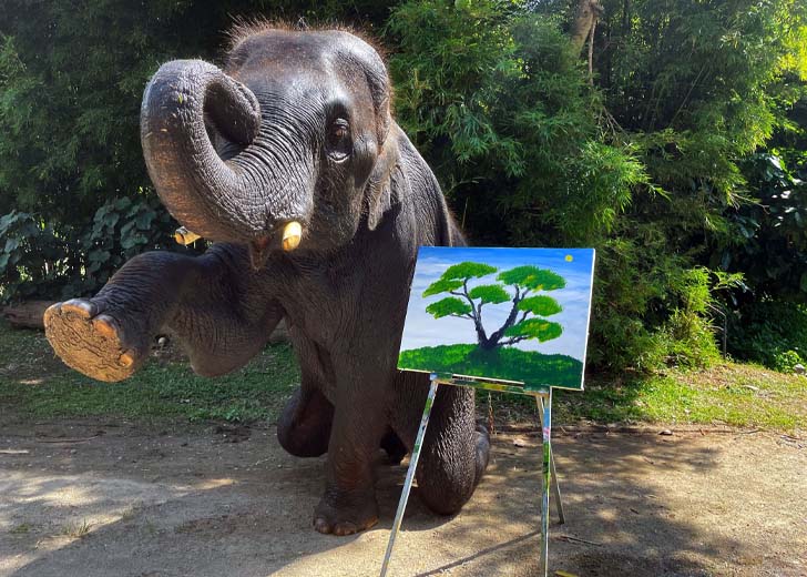Tunwa with Tree of Life elephant art.