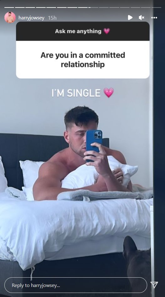 Harry Jowsey says he is single over an Instagram story.