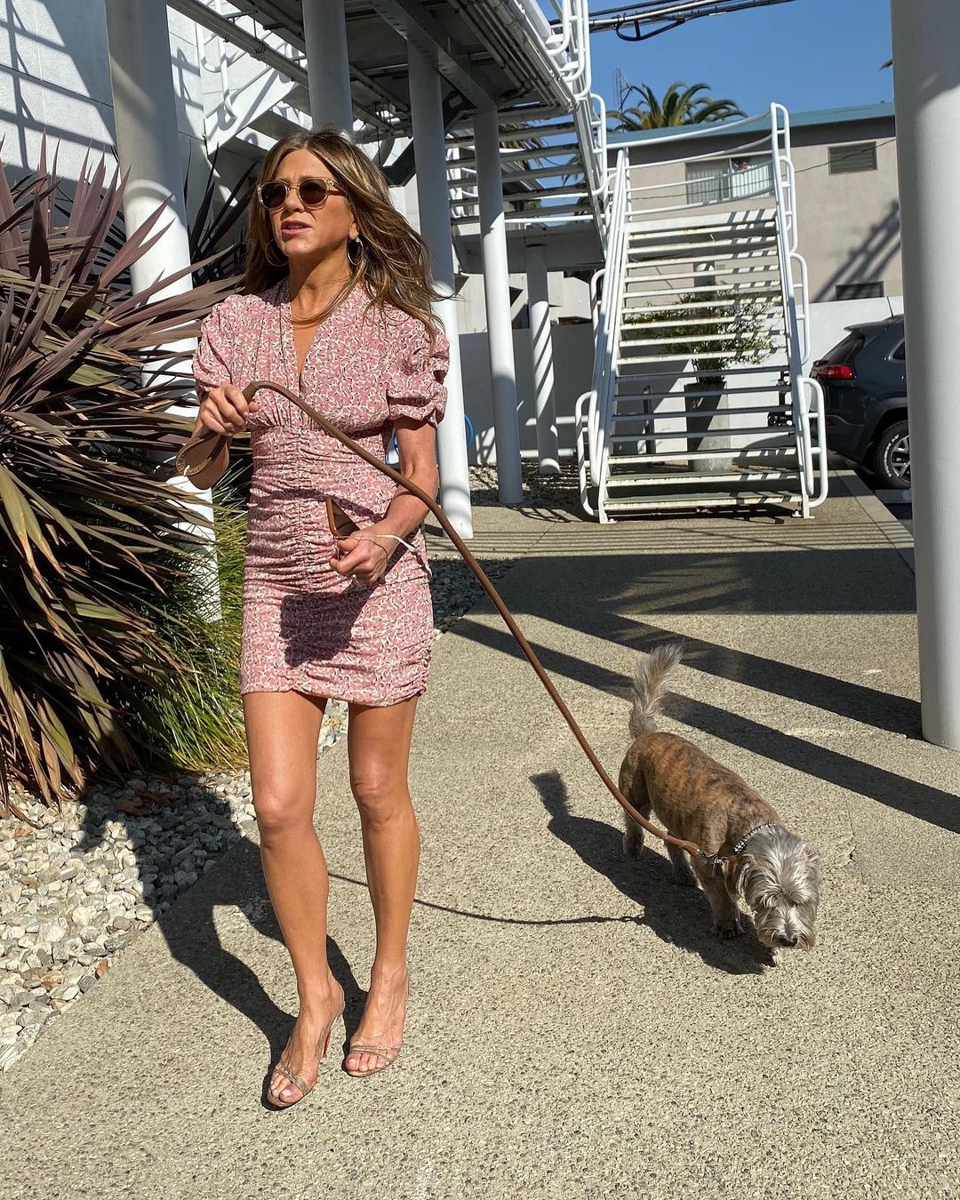 Jennifer Aniston taking her pet dog, Clyde, on a walk to work