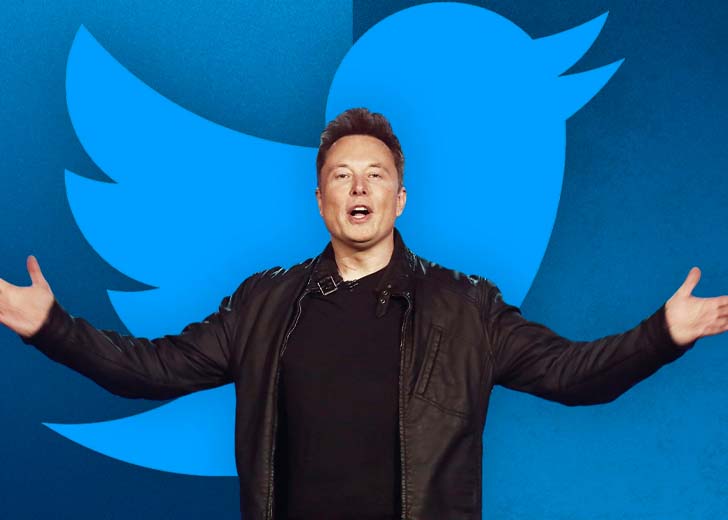 Is Elon Musk Charging for Using They/Them Pronouns on Twitter?