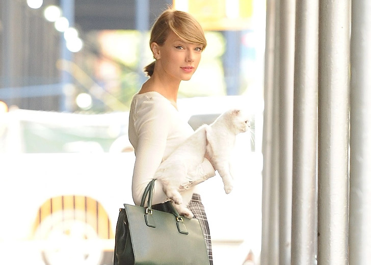 Taylor Swift’s Cat Olivia Benson Is the World’s Third Richest Pet