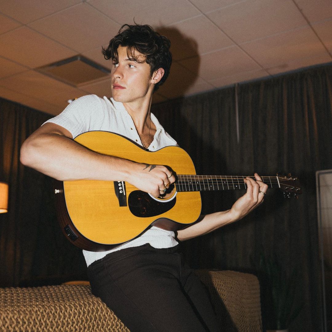 Shawn Mendes has been frequently questioned about his sexuality. 
