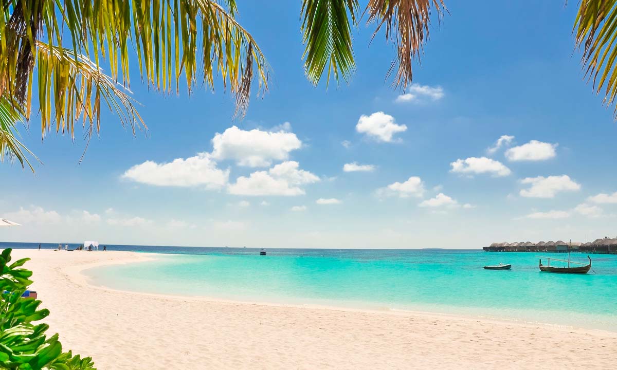 5 Reasons To Visit Barbados