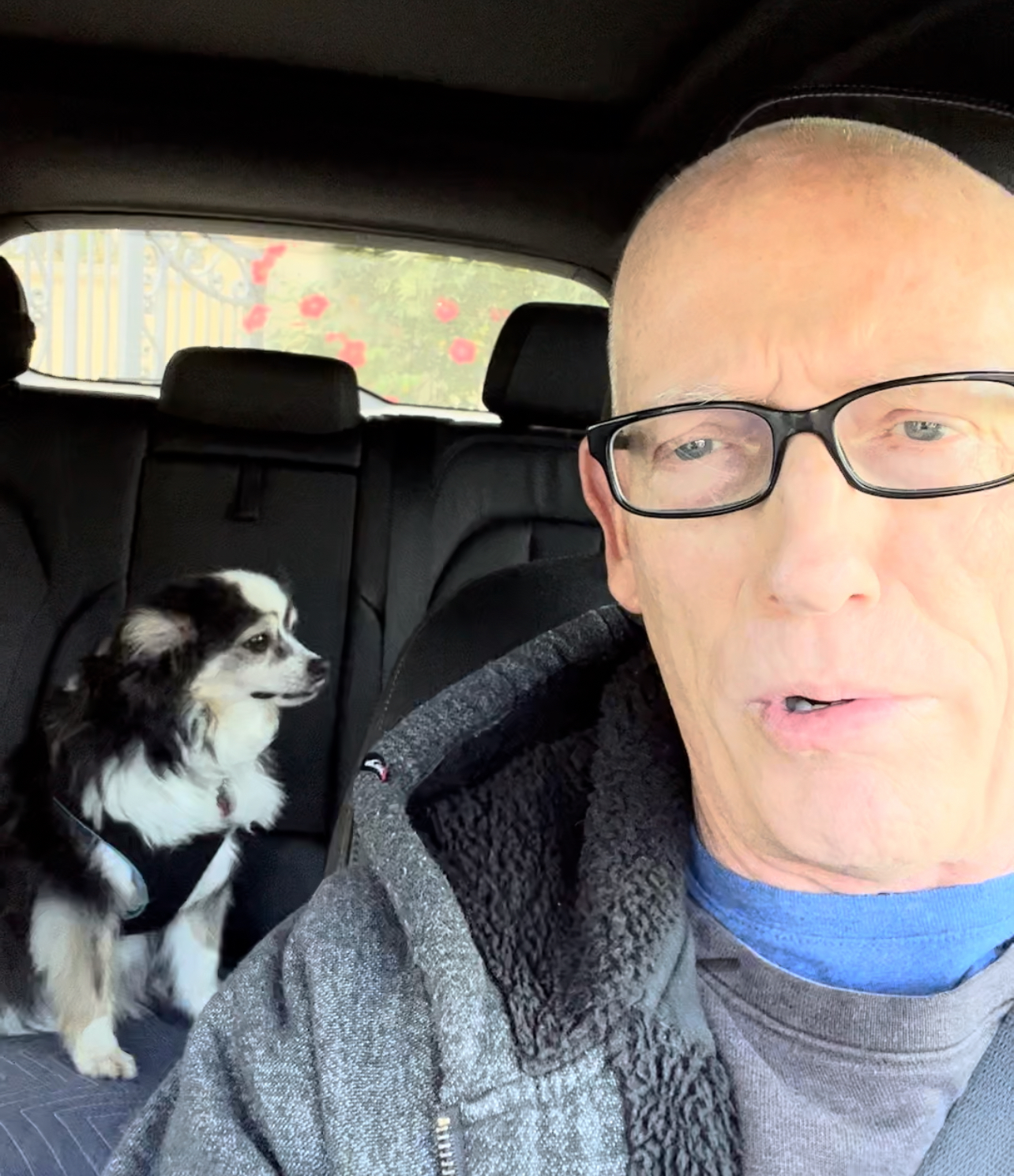 Scott Adams with his dog inside his car