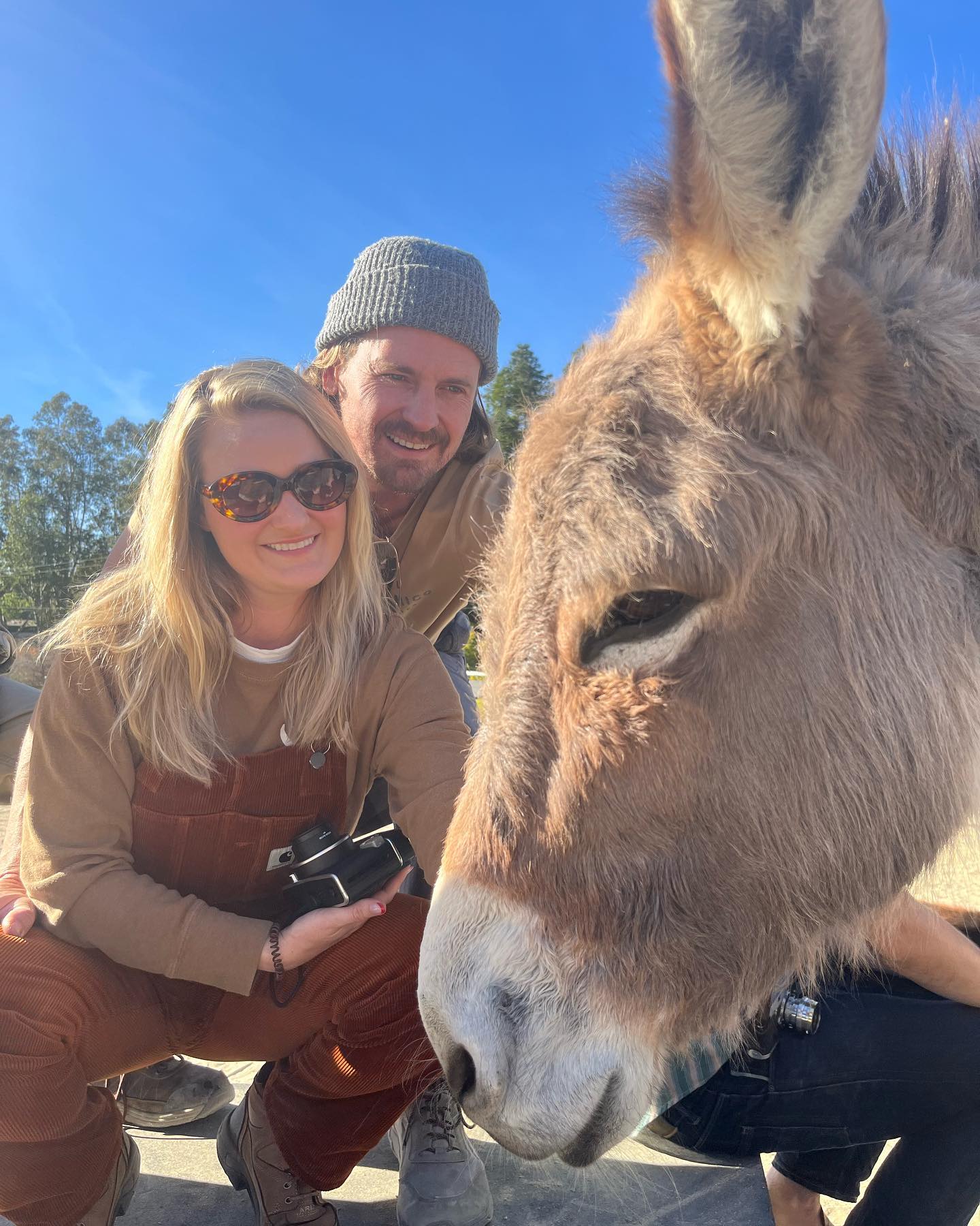 AJ Michalka and her boyfriend, Josh Pence, caressing a donkey at the Rancho Burro Donkey Sanctuary